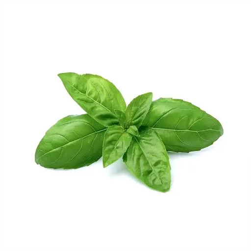 Albahaca