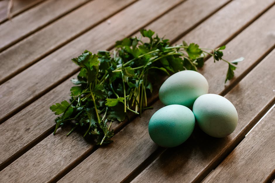 parsley herb - ROMAN ODINTSOV