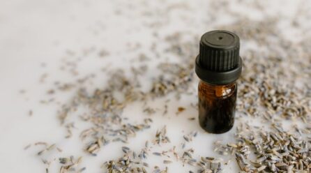 El aceite de té te cura heridas