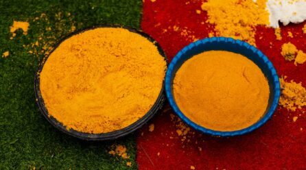 ¿Para qué sirve el turmeric en medicina?