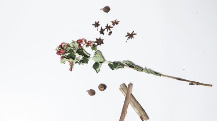 La valeriana que calma el insomnio