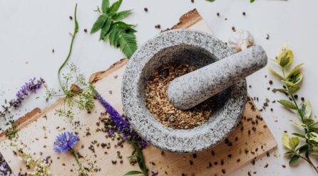 La sinergia del Ashwagandha con Ginseng para bienestar