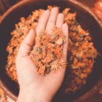 Propiedades medicinales de la calendula nocturna Calendula flowe — Alina Vilchenko