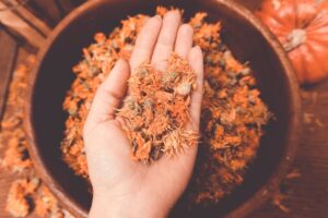 Propiedades medicinales de la calendula nocturna
