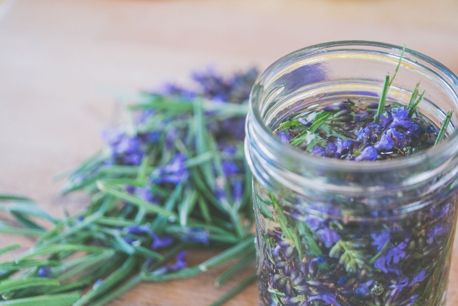 Rosemary herb — Jessica Lewis 🦋 thepaintedsquare