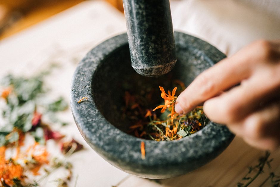 alchemy herbalist botanical — Yan Krukau