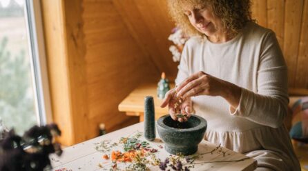 La sinergia del Ashwagandha con Ginseng para bienestar
