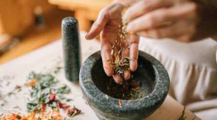 Tabaco de monte en fitoterapia usos y riesgos