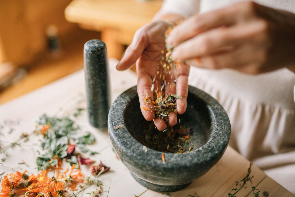 alchemy herbalist botanical — Yan Krukau