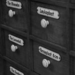 Ginkgo para mejorar la memoria herbal medicine apothecary — Peter Dyllong