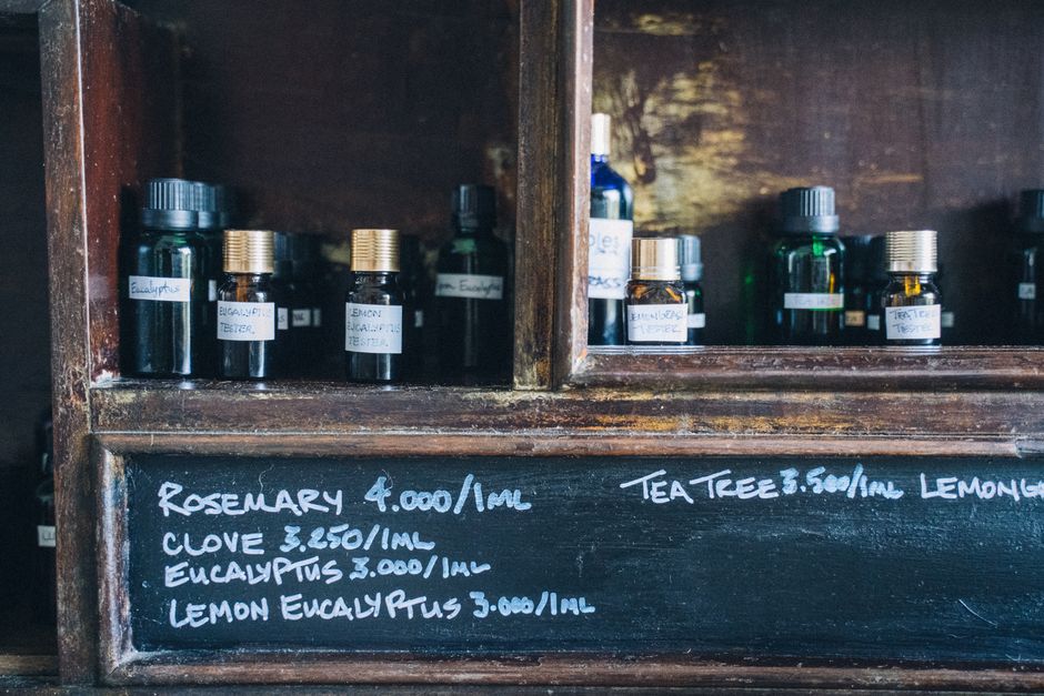 herbal medicine apothecary — Anna Tarazevich