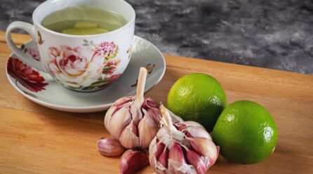 Usos del boldo para digestion y contraindicaciones