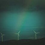 El poder oculto del Árnica para sanar heridas sustainable green ecology — Francesco Ungaro