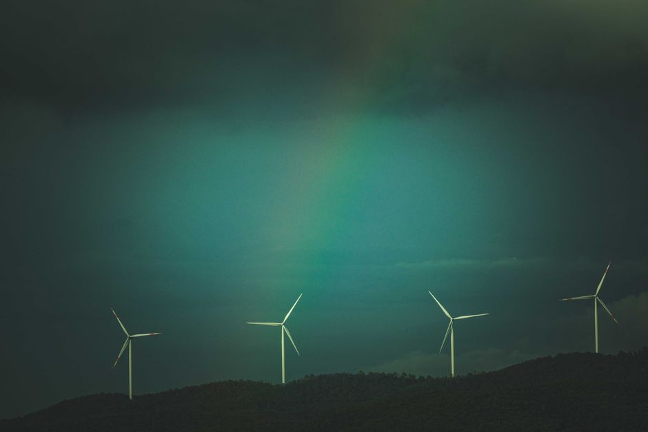 sustainable green ecology — Francesco Ungaro
