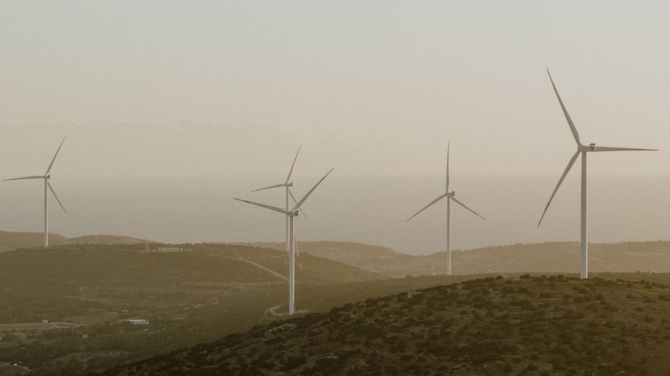 sustainable green ecology — Ahmet Kurt