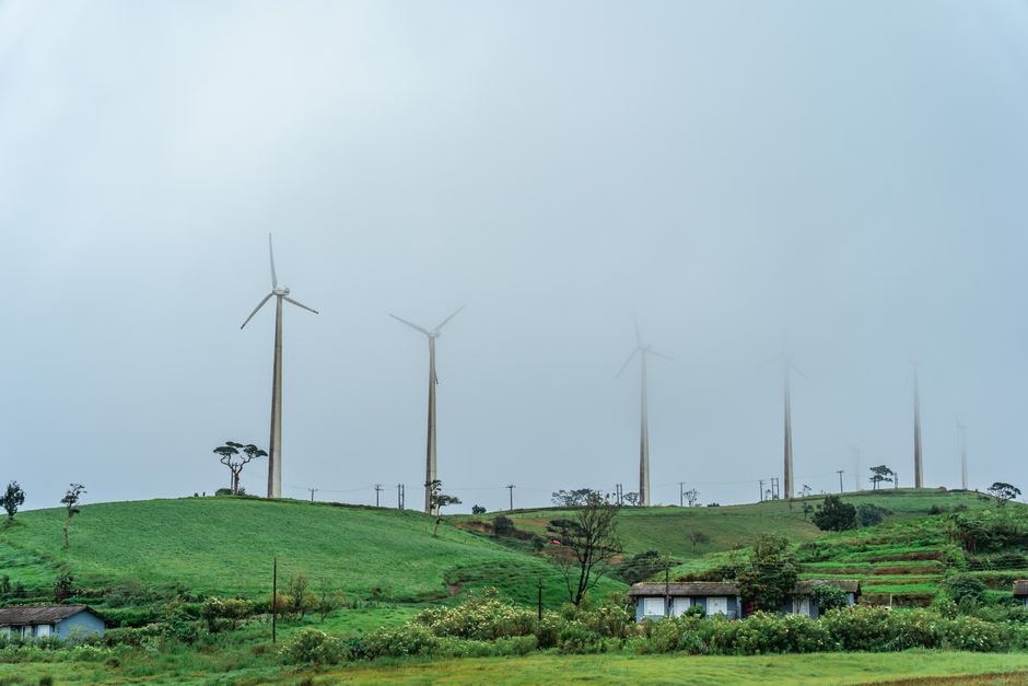 sustainable green ecology — Thilina Alagiyawanna