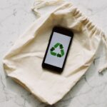 Lo que creías sobre el ginkgo es falso sustainable green ecology — ready made