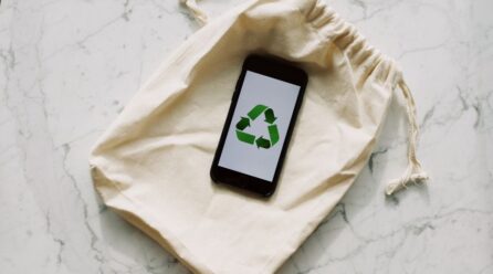 Lo que creías sobre el ginkgo es falso