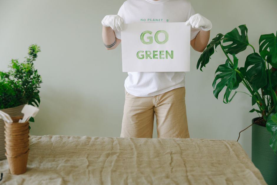 sustainable green ecology — Thirdman