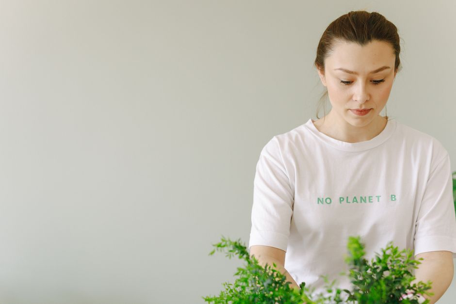 sustainable green ecology — Thirdman